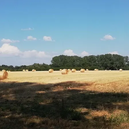 아파트 Beans Apensen