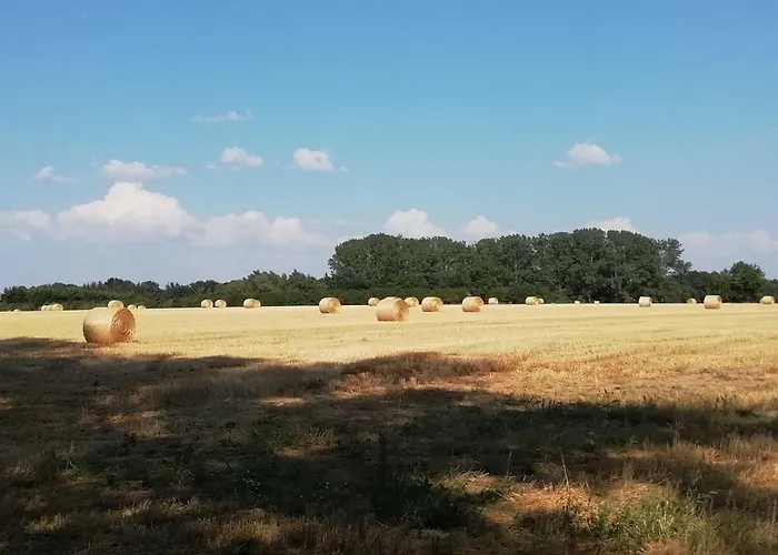 Apartament Beans Apensen